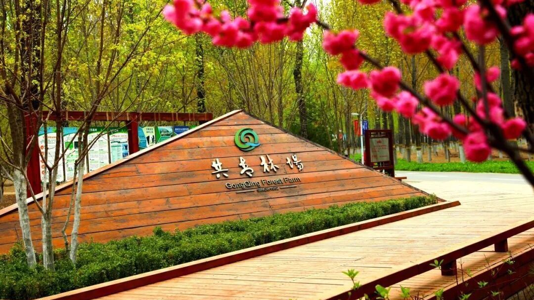 一路繁花！来共青滨河森林公园享浪漫春日绿道