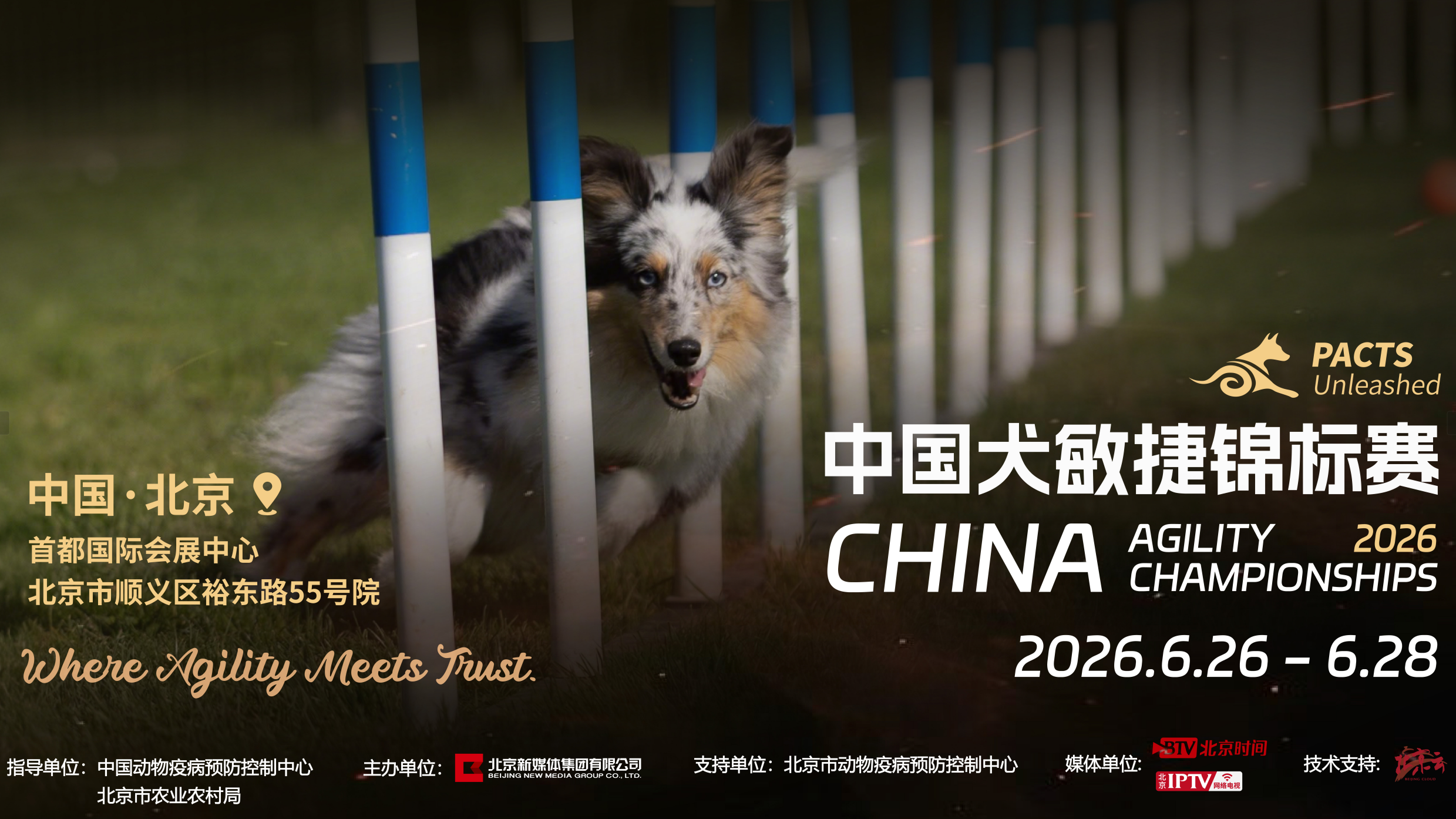 2026中国犬敏捷锦标赛正式定档|国家级权威赛事6月北京启幕 2026中国犬敏捷锦标赛正式定档|国家级权威赛事6月北京启幕