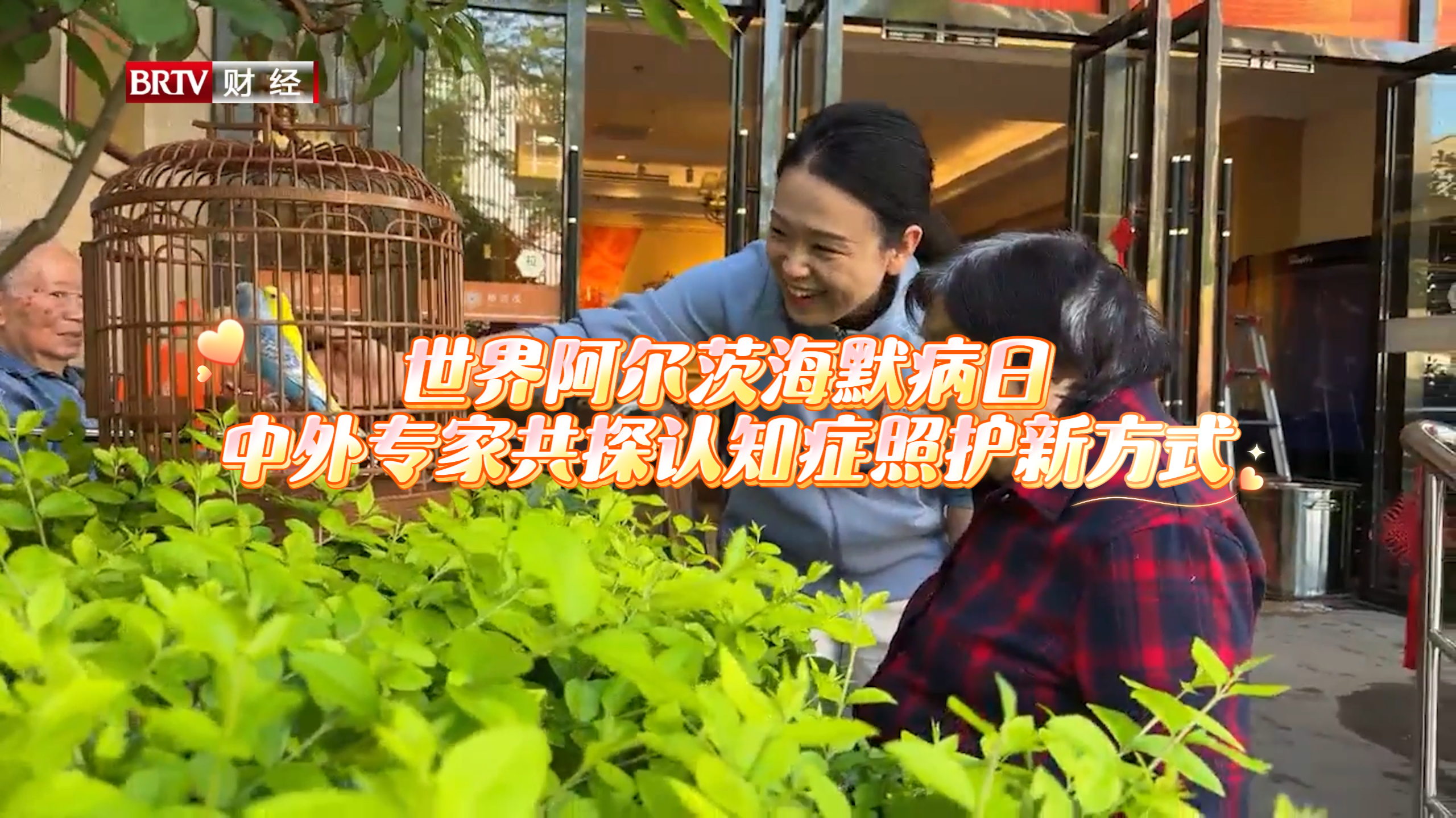 世界阿尔茨海默病日 中外专家共探认知症照护新方式
