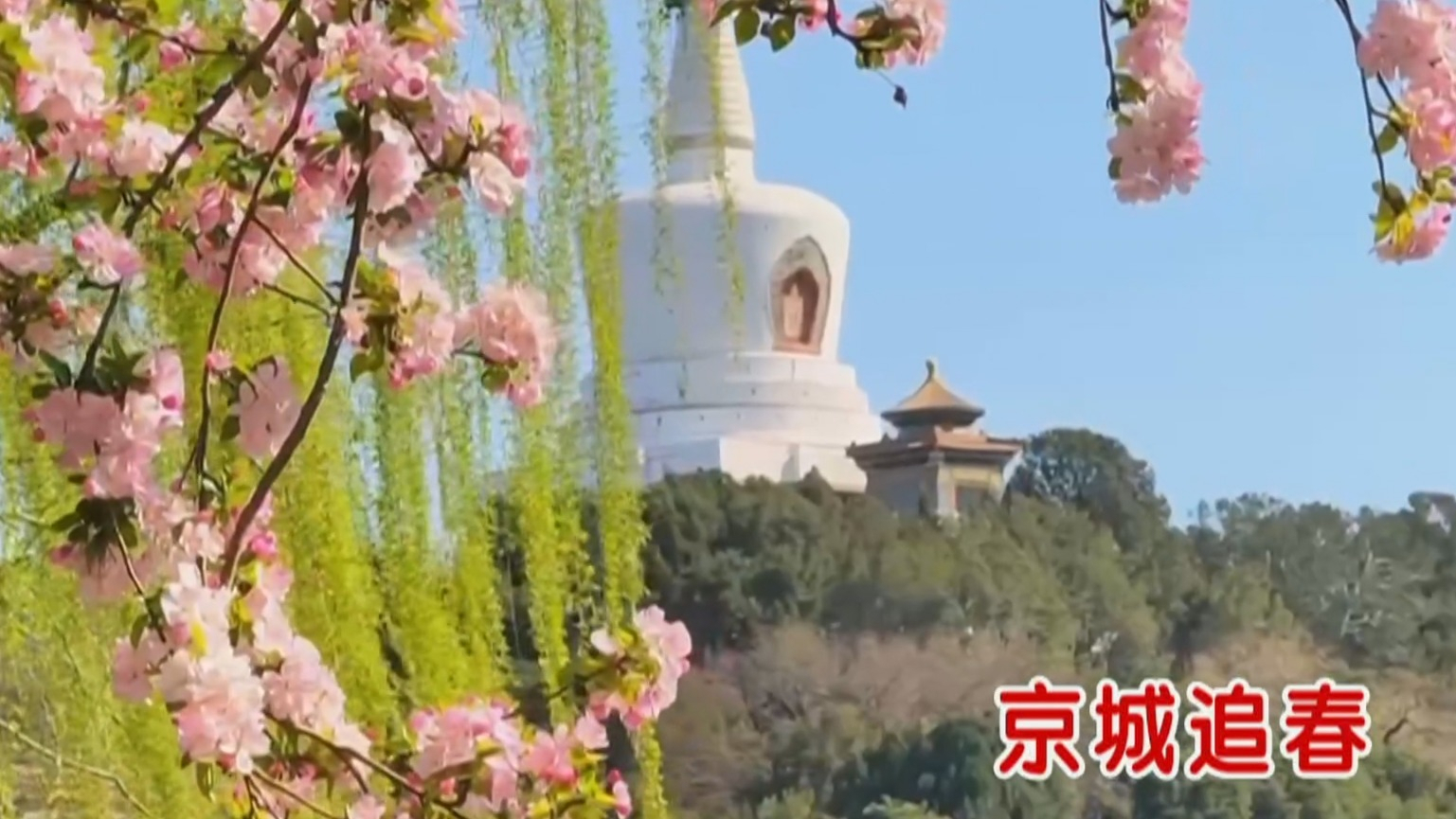 京城追春丨漫步花海 品味春光 京城追春丨漫步花海 品味春光