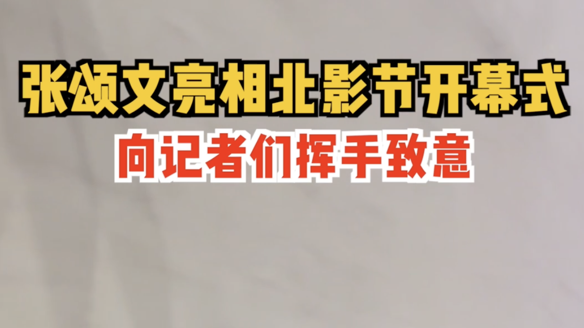 演员张颂文亮相北京国际电影节 向记者们挥手致意