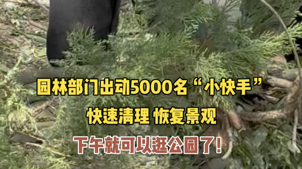 北京园林部门出动5000名“小快手”，快速清理，恢复景观。