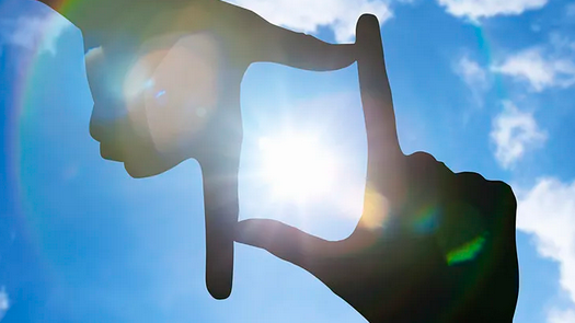 山东一公司组织员工摆拍、造谣被处罚