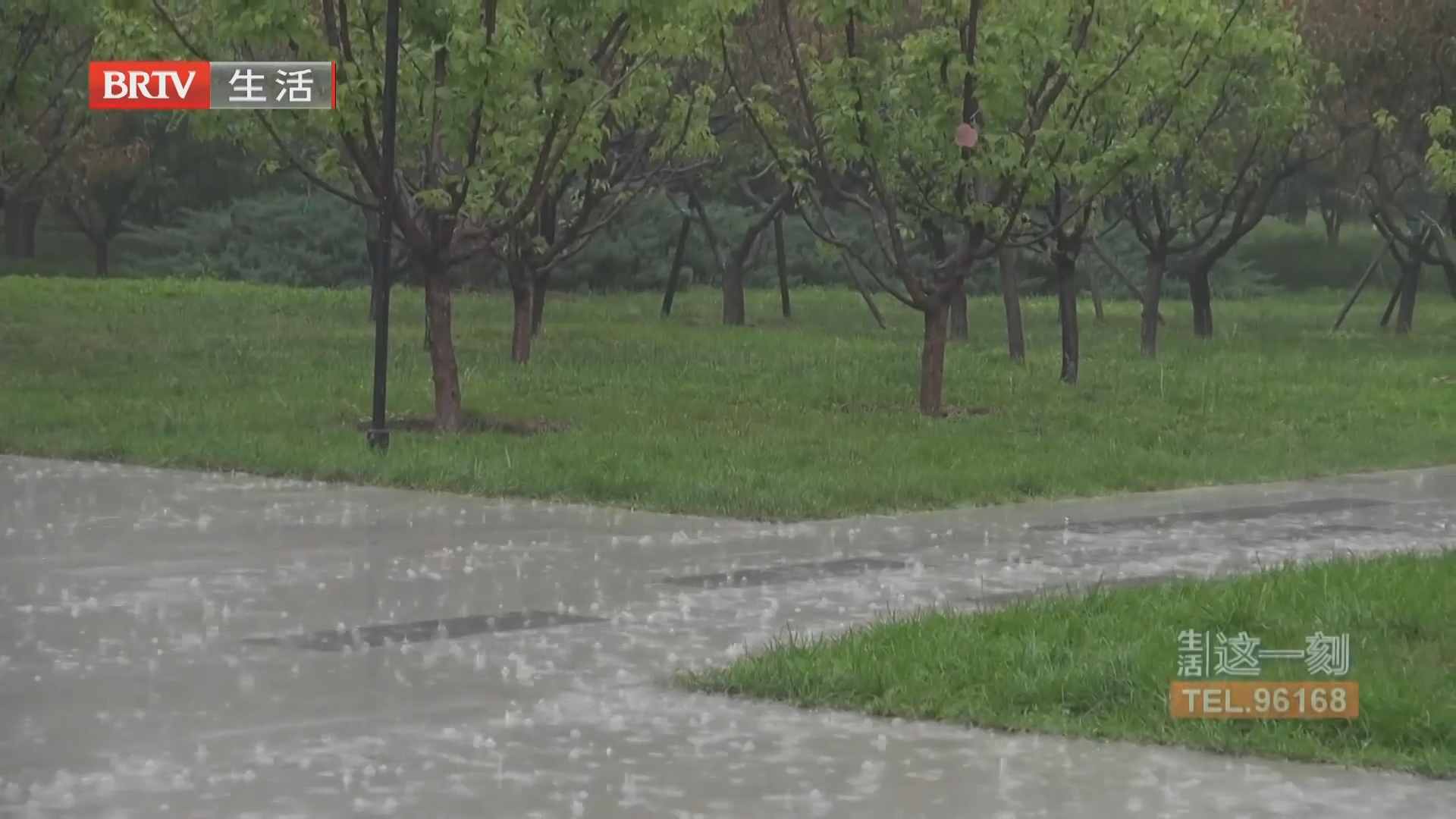 《生活这一刻》20260710