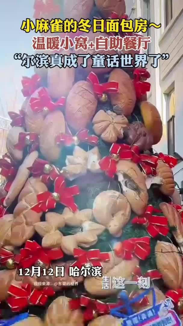 暖心尔滨给小麻雀的冬日面包房
