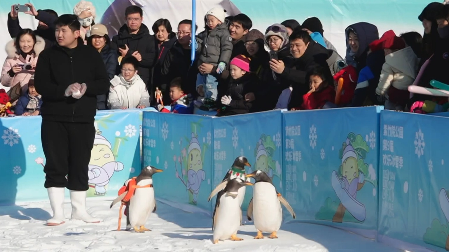 全市重点监测公园景区1月2日共接待游客119.21万人次 全市重点监测公园景区1月2日共接待游客119.21万人次