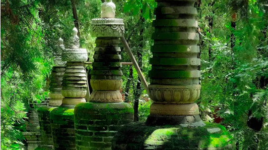 北京新添3处“神仙级”打卡地!别等假期了周末就去! 北京新添3处“神仙级”打卡地!别等假期了周末就去!