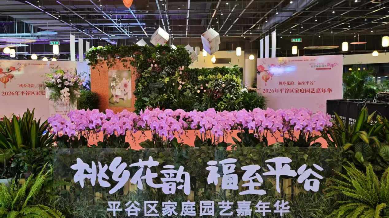 北京平谷:2026家庭园艺嘉年华启幕,将持续至3月 北京平谷:2026家庭园艺嘉年华启幕,将持续至3月