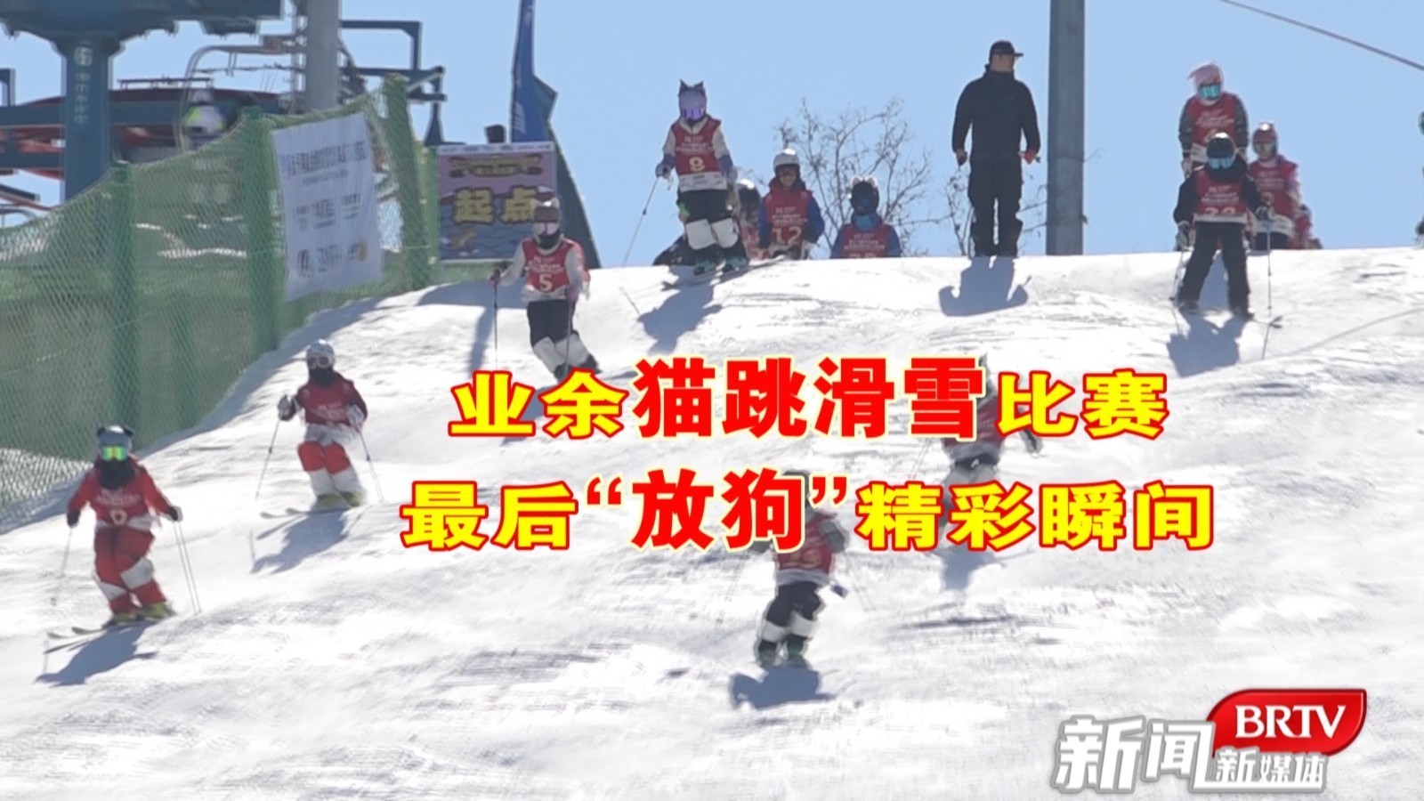 业余猫跳滑雪比赛“放狗”瞬间   快来看！一帧都没少