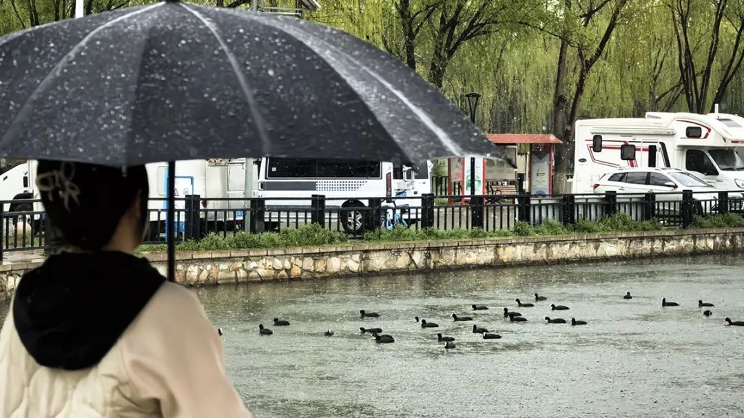 春雨润顺义!这场春日喜雨预计将持续到夜间→ 春雨润顺义!这场春日喜雨预计将持续到夜间→