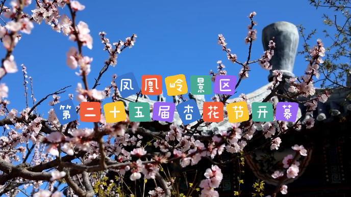 北京凤凰岭景区第二十五届杏花节开幕