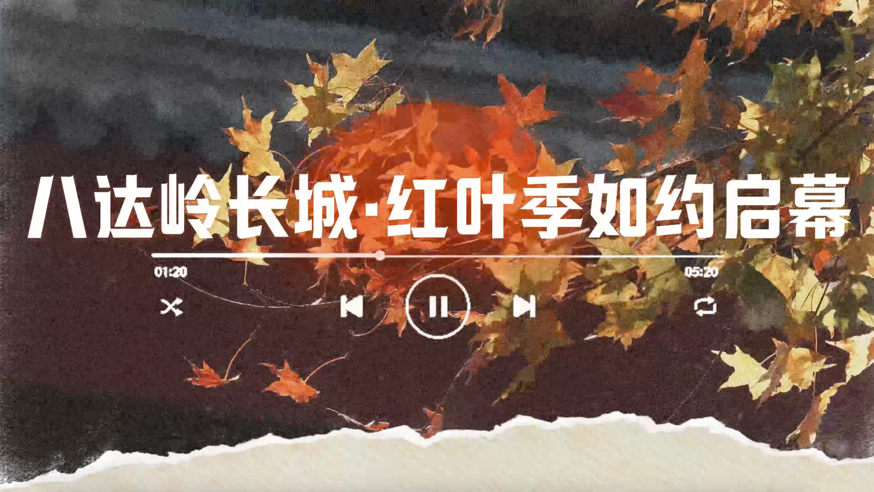 八达岭长城·红叶季正式开启！