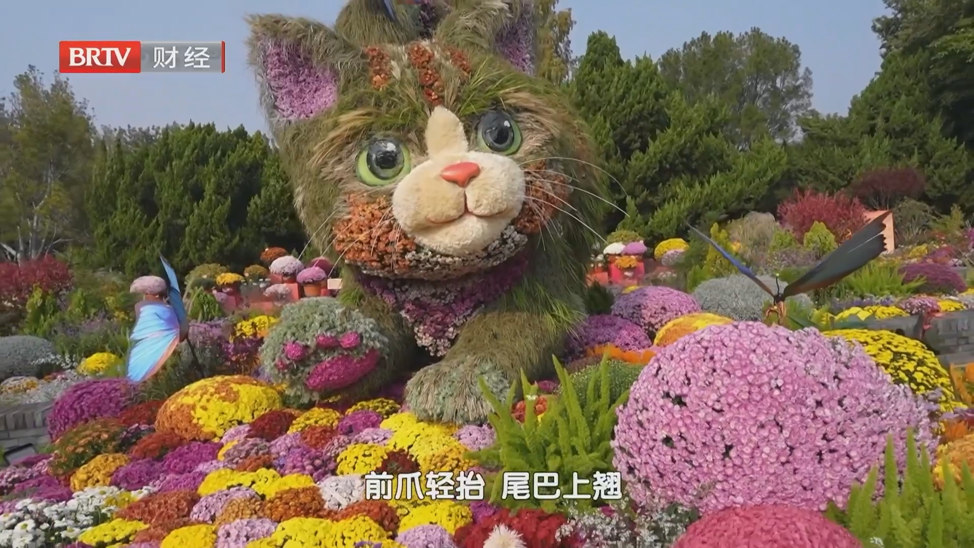 《首都经济报道》20261028
