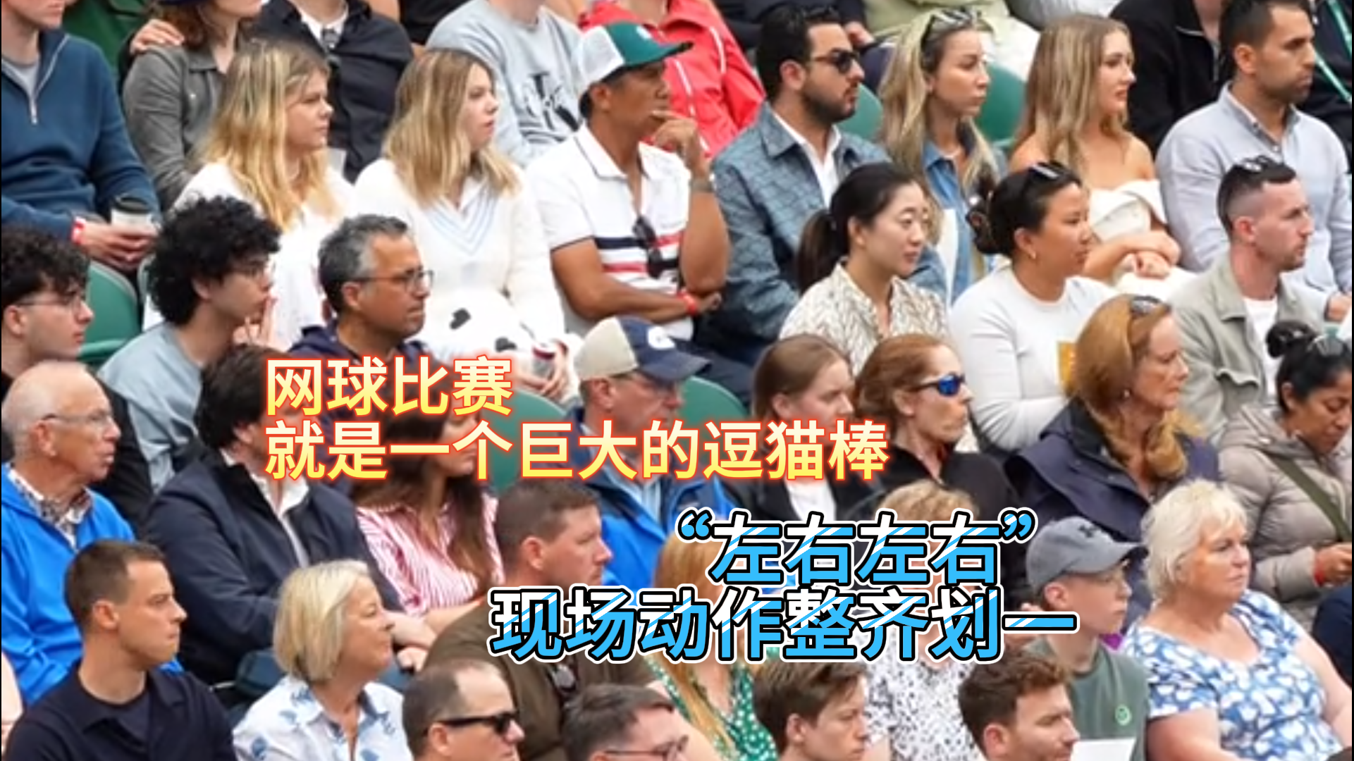 网球比赛就是一个巨大的逗猫棒 “左右左右” 现场动作整齐划一 网球比赛就是一个巨大的逗猫棒 “左右左右” 现场动作整齐划一