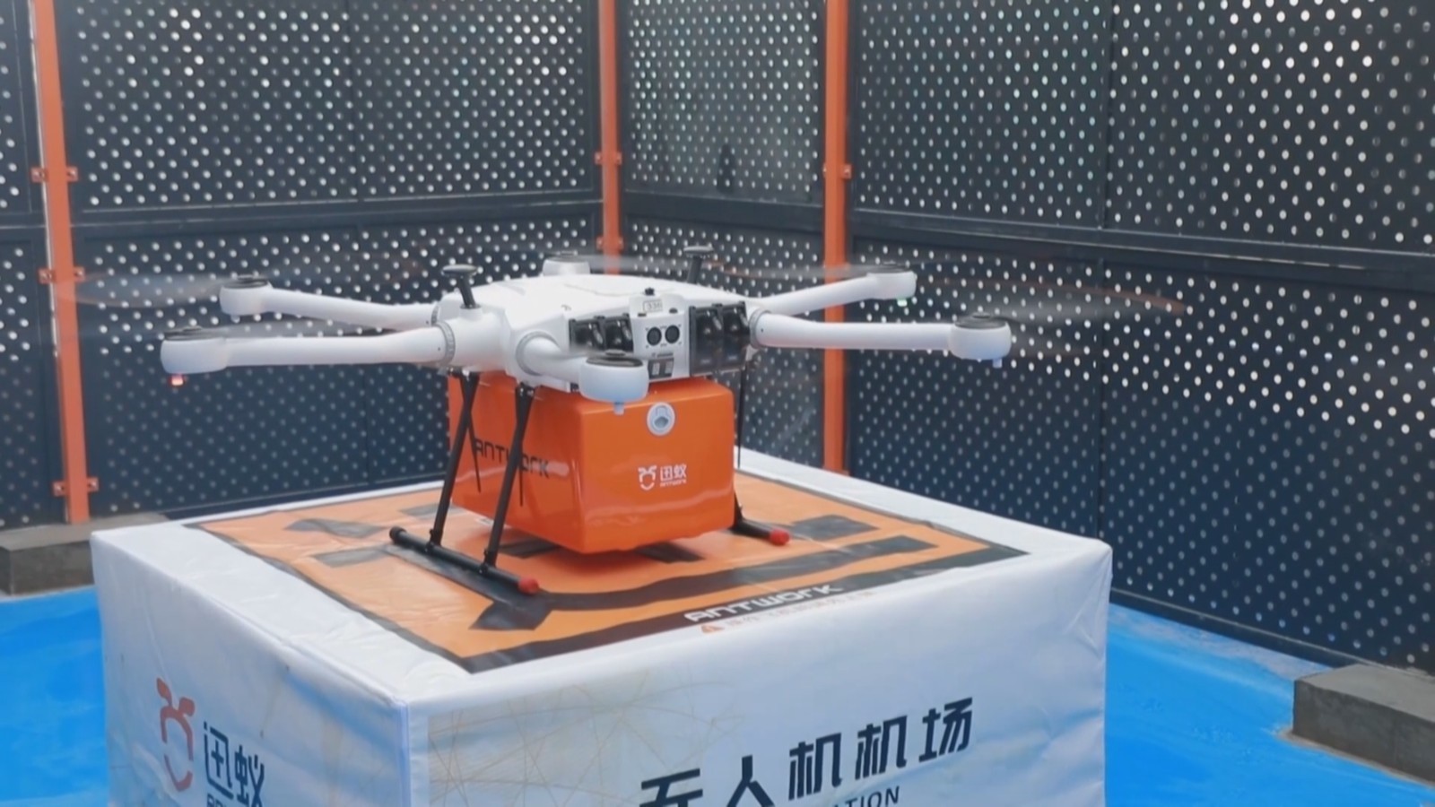 塔克拉玛干沙漠北部“飞的”送检标本