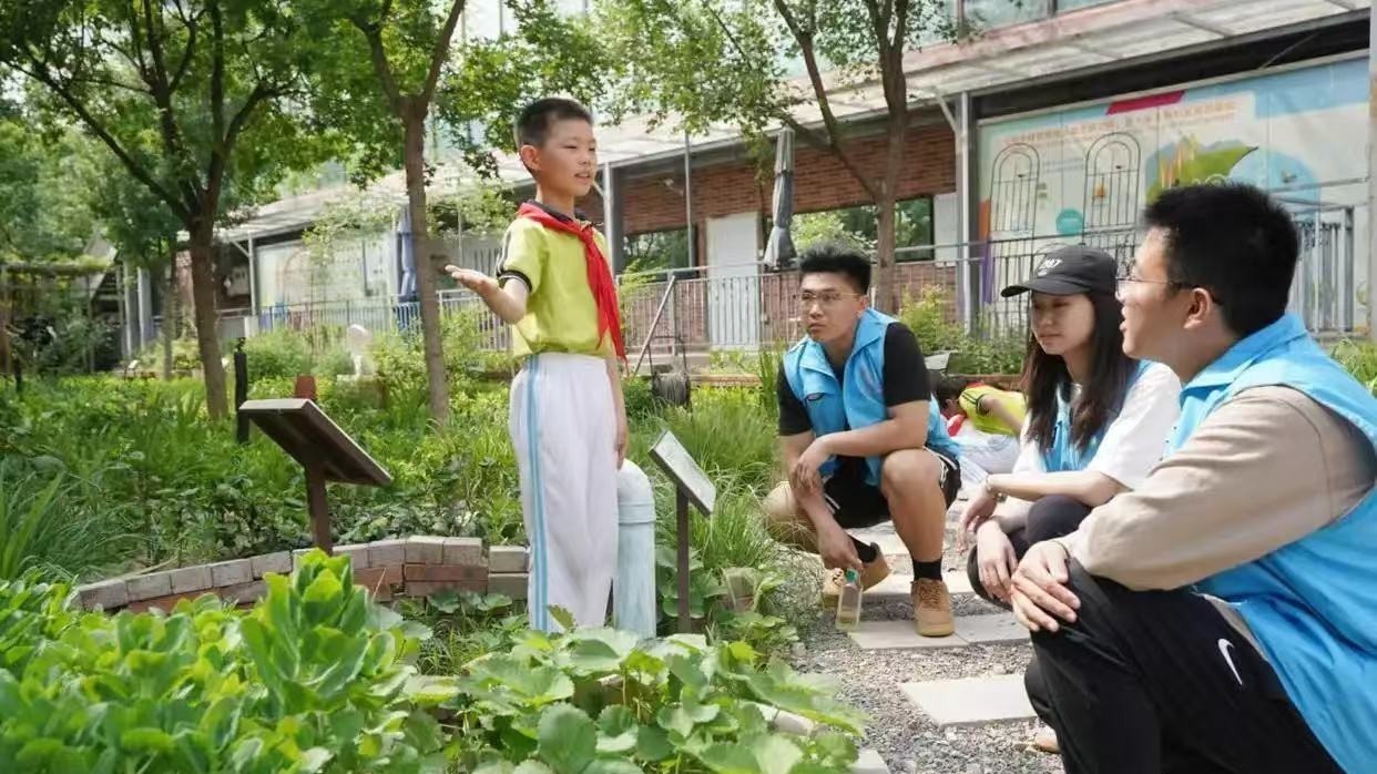 从闲置地块到“绿色资产” 中关村生境花园变身小动物的“乐园” 从闲置地块到“绿色资产” 中关村生境花园变身小动物的“乐园”
