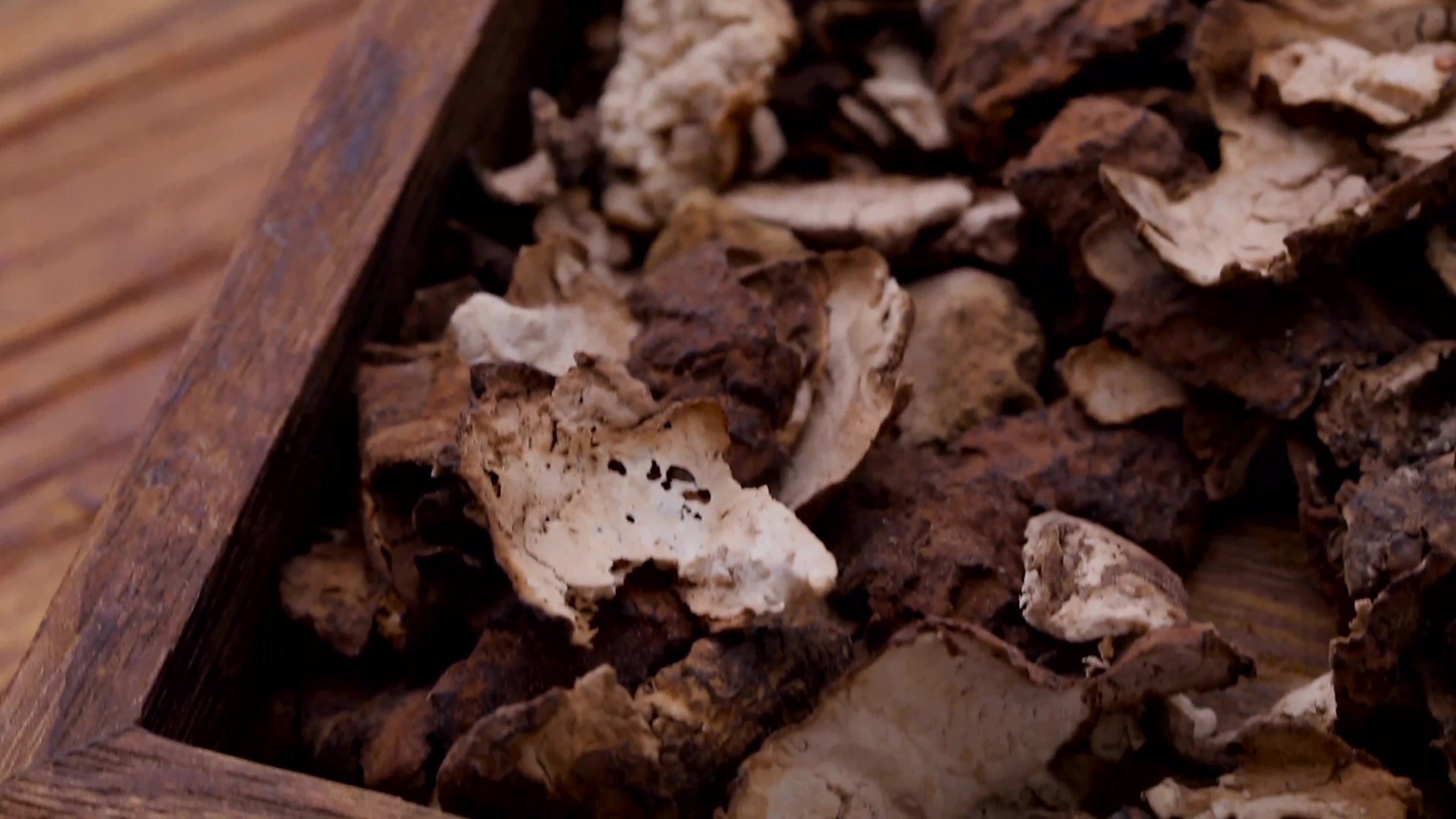 春季水肿调理:三皮饮的神奇功效 春季水肿调理:三皮饮的神奇功效