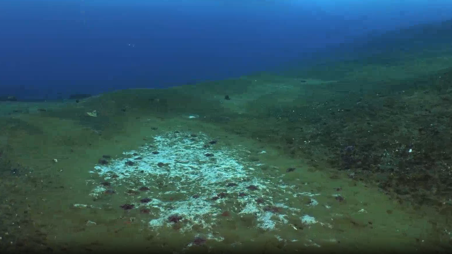 研究显示南极地区海底甲烷渗出速度惊人 研究显示南极地区海底甲烷渗出速度惊人