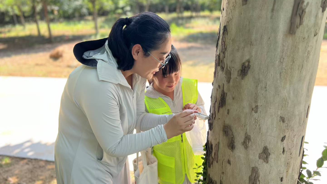 房山区沉浸式自然课堂开课 房山区沉浸式自然课堂开课