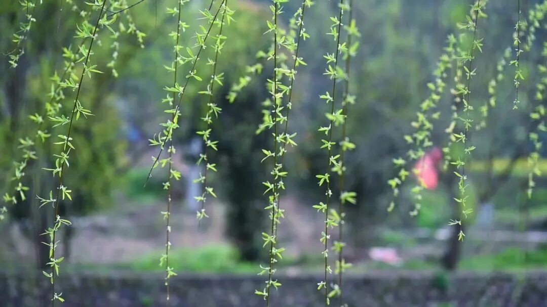 阵风7级伴扬沙 最高气温22℃