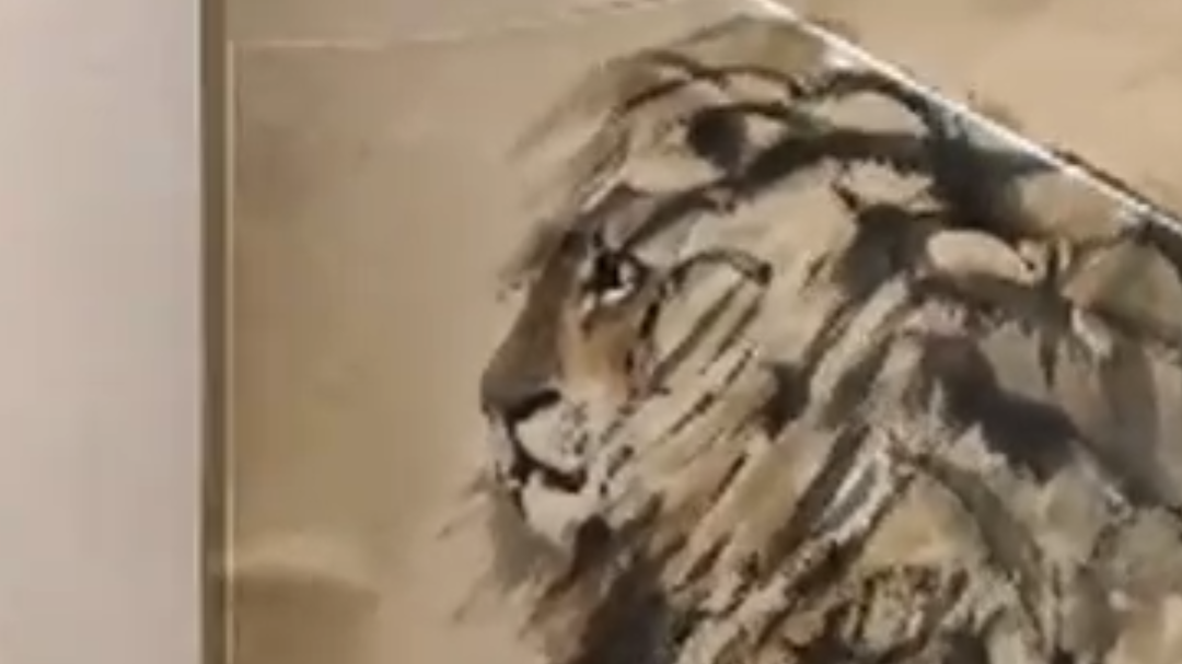 为了画狮子，他得了胃病