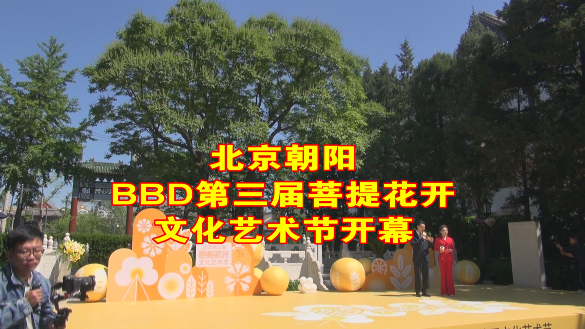 北京朝阳“BBD第三届菩提花开文化艺术节”开启 北京朝阳“BBD第三届菩提花开文化艺术节”开启