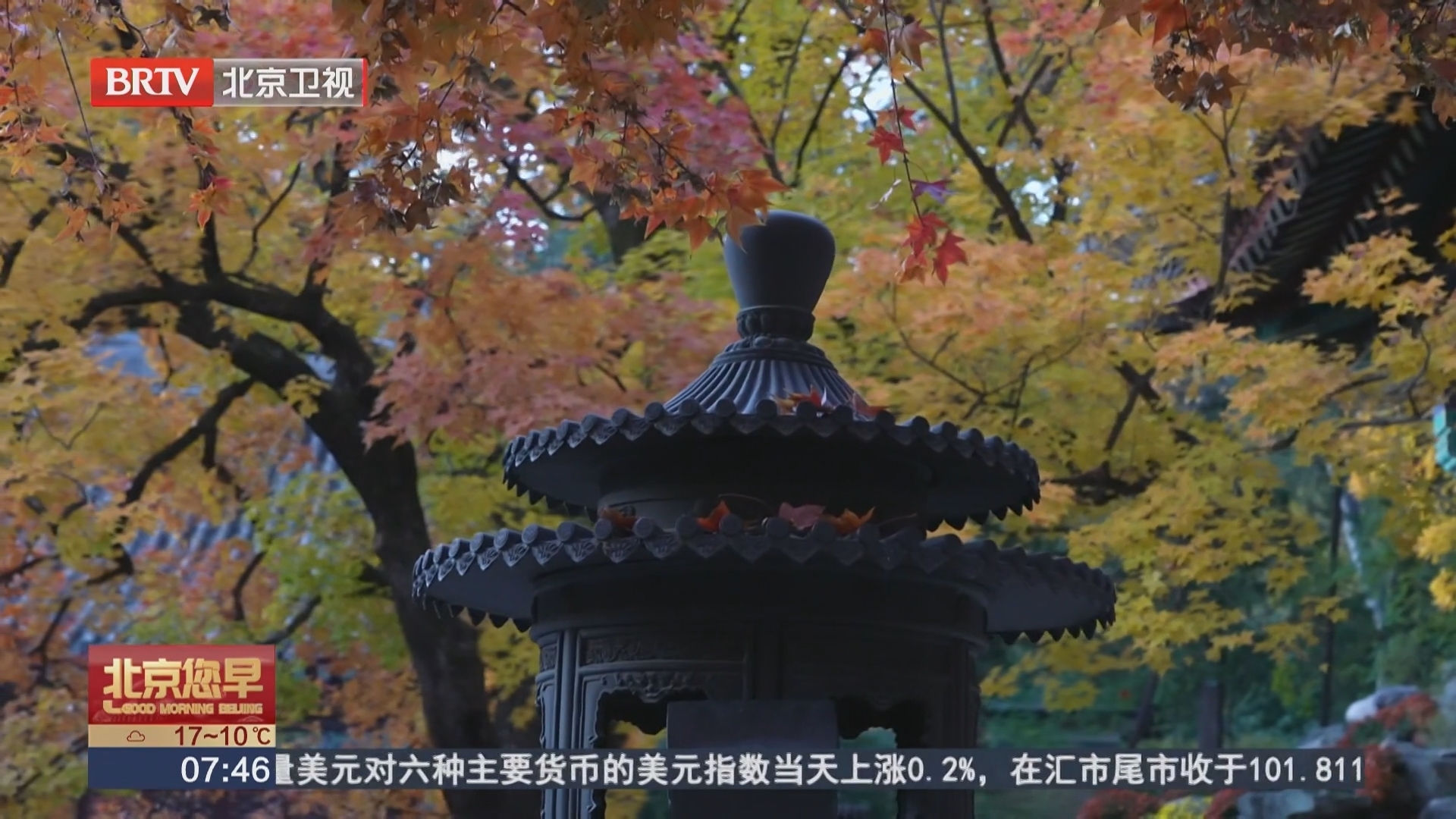 霜降“催红”香山 红叶变色率是如何测出的? 霜降“催红”香山 红叶变色率是如何测出的?
