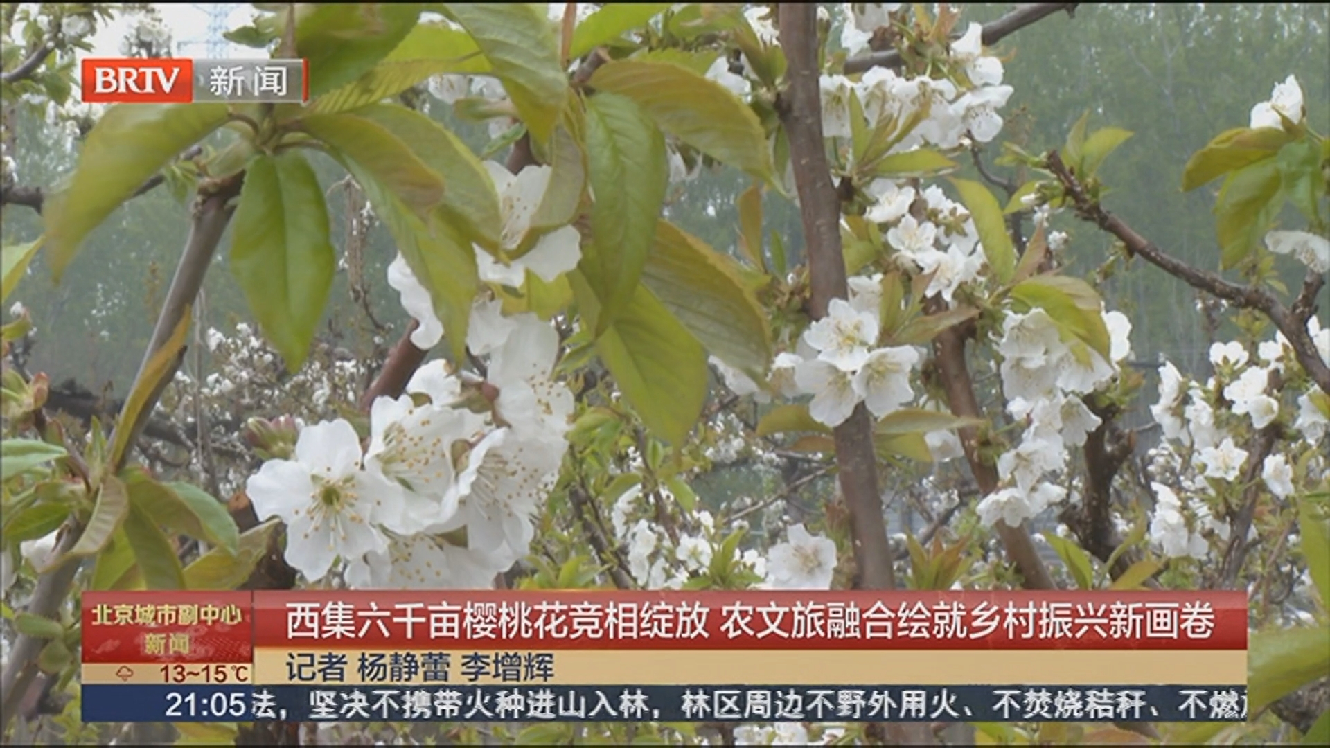 《都市晚高峰》20260415