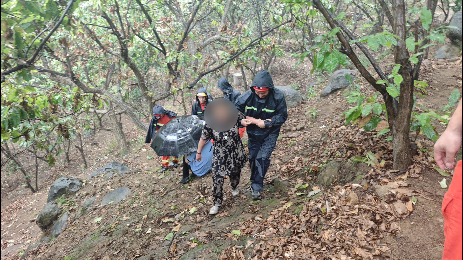 采菇之旅突发险情,进山采菌遭野蜂围攻!怀柔消防冒雨紧急救援 采菇之旅突发险情,进山采菌遭野蜂围攻!怀柔消防冒雨紧急救援