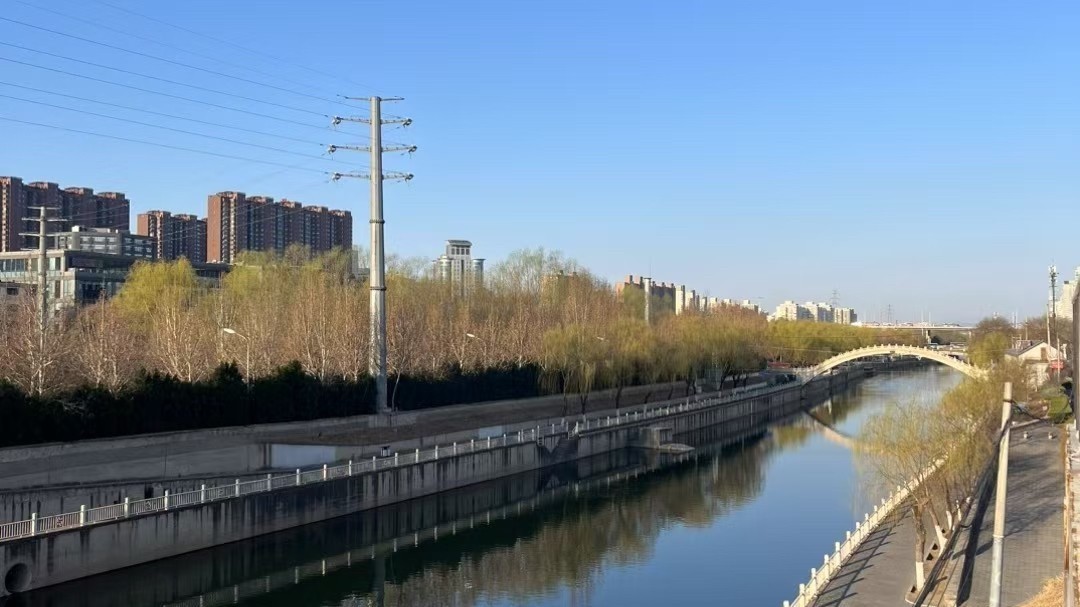 最高气温28℃ 大风蓝色预警!飞絮防护放“大招儿” 最高气温28℃ 大风蓝色预警!飞絮防护放“大招儿”