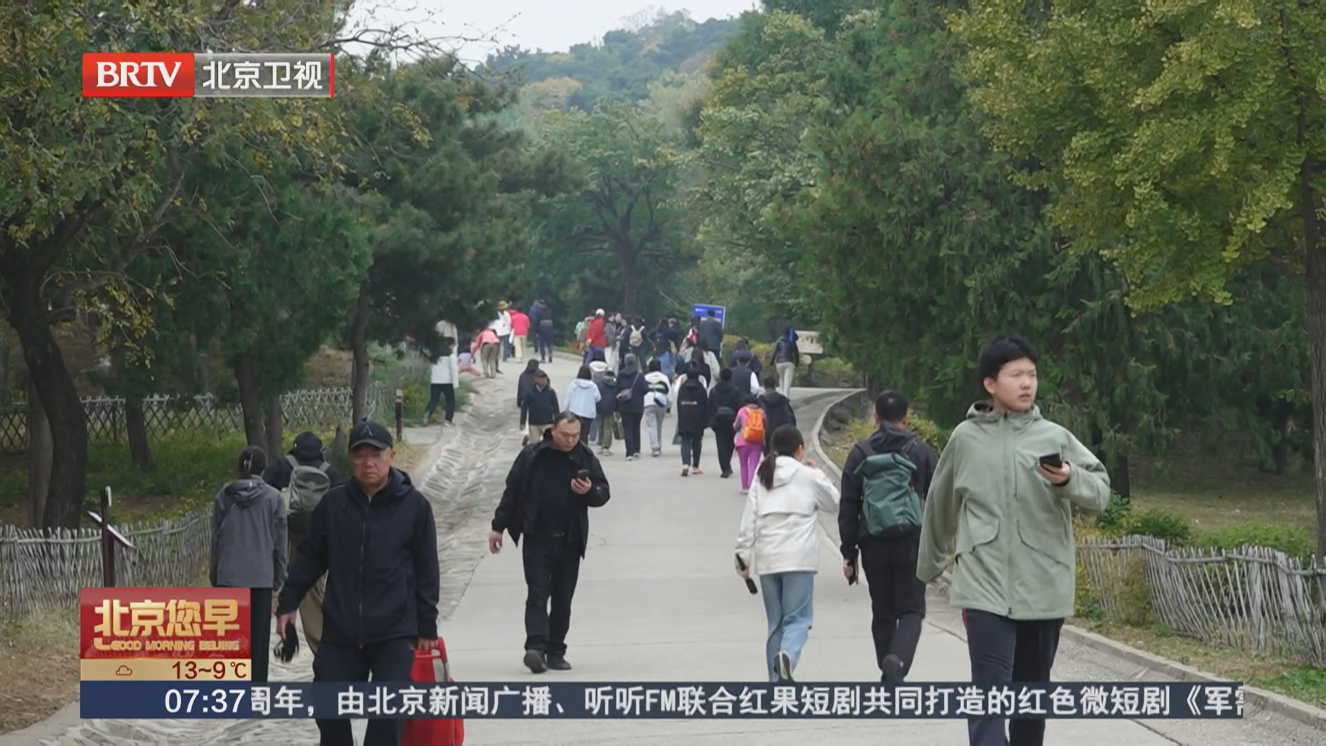 从打卡赏红到慢游秋山 京郊红叶带火“赏红经济”