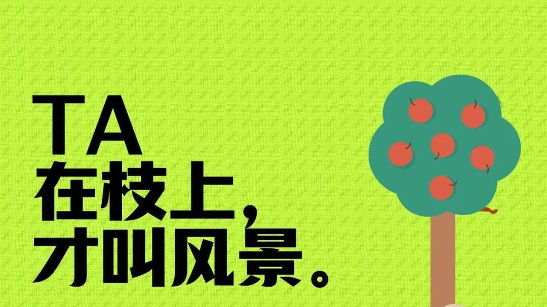 @林校人,你文明的样子,就是国庆动人的风景 @林校人,你文明的样子,就是国庆动人的风景