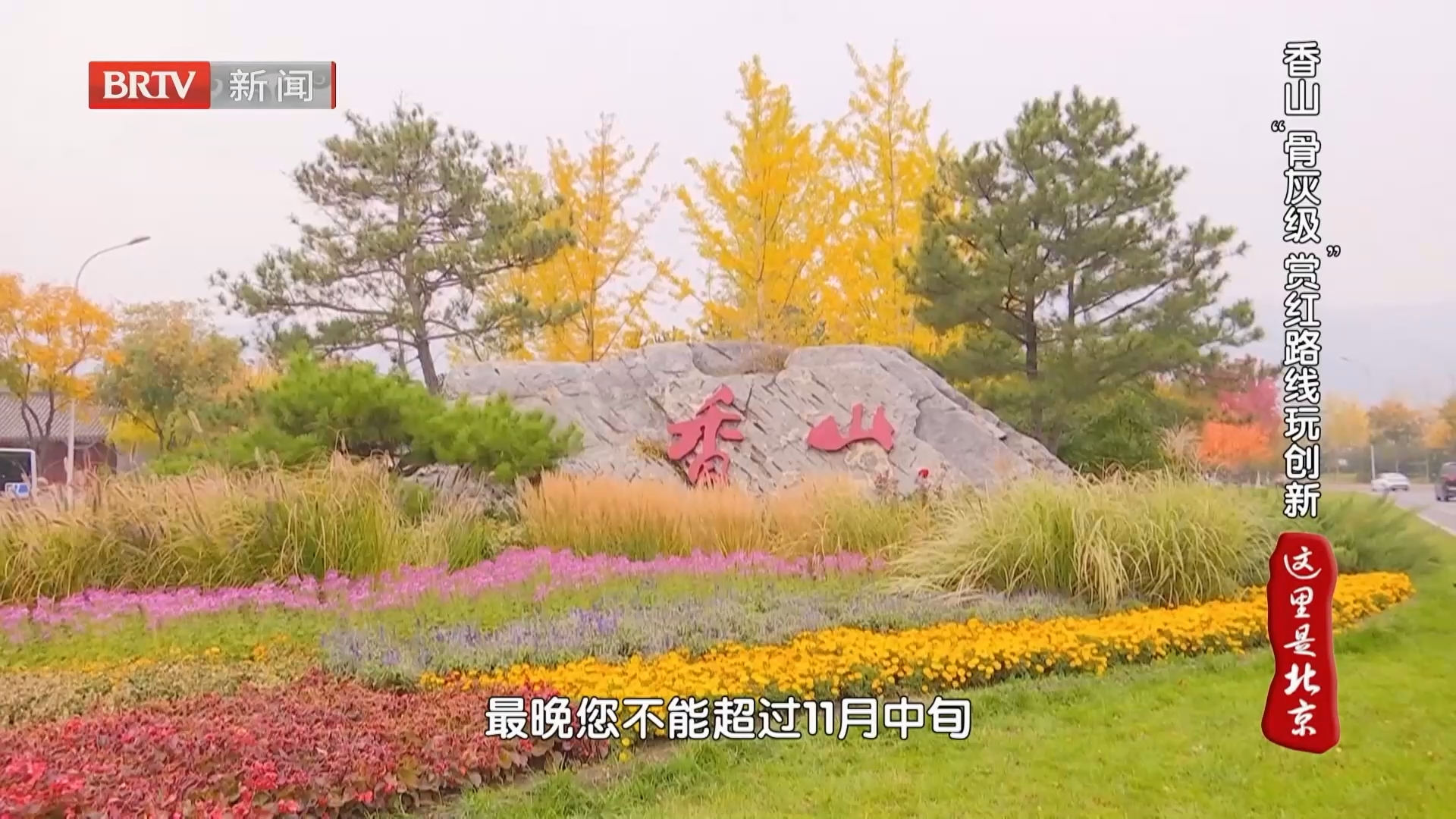 香山 “骨灰级”赏红路线玩创新