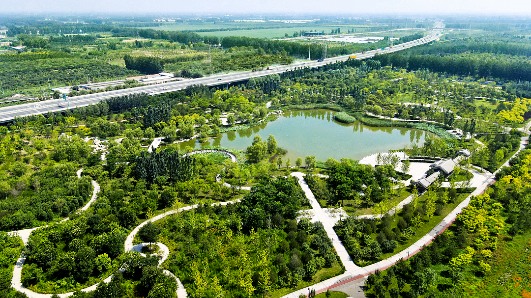 新建2个公园、打造千亩示范区！通州这个镇发布六大绿色工程——