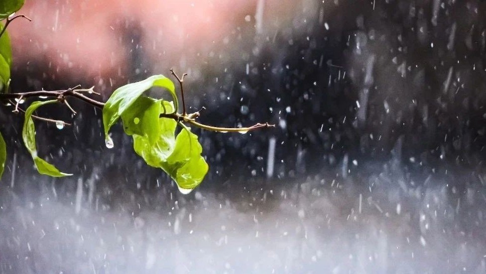 要凉快了！今夜起有降雨，明天最高温28℃——