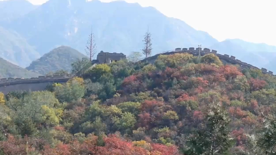 北京进入红叶观赏季 八达岭红叶岭呈现“绚彩林”