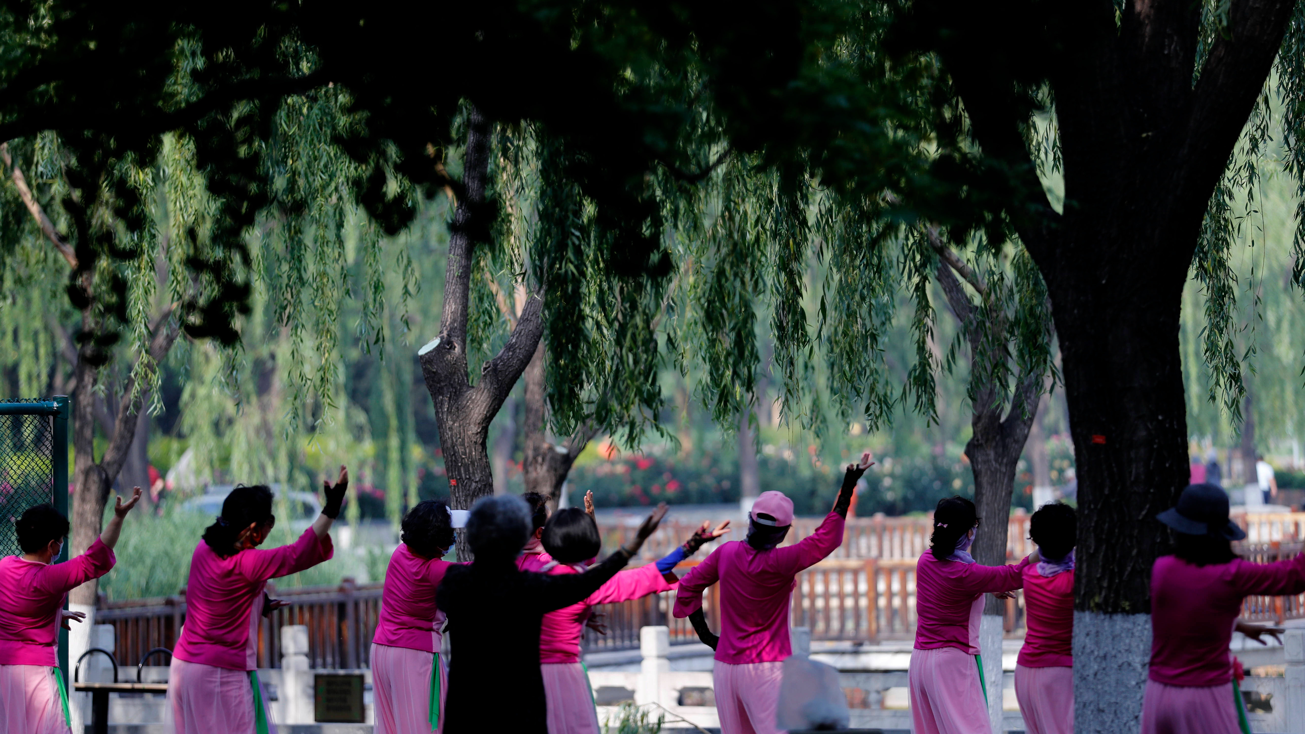 2026年北京公园年票发售!三代社保卡可加载 2026年北京公园年票发售!三代社保卡可加载