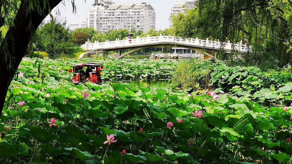 因天气原因,紫竹院公园文创市集8月11日、12日暂停营业 因天气原因,紫竹院公园文创市集8月11日、12日暂停营业
