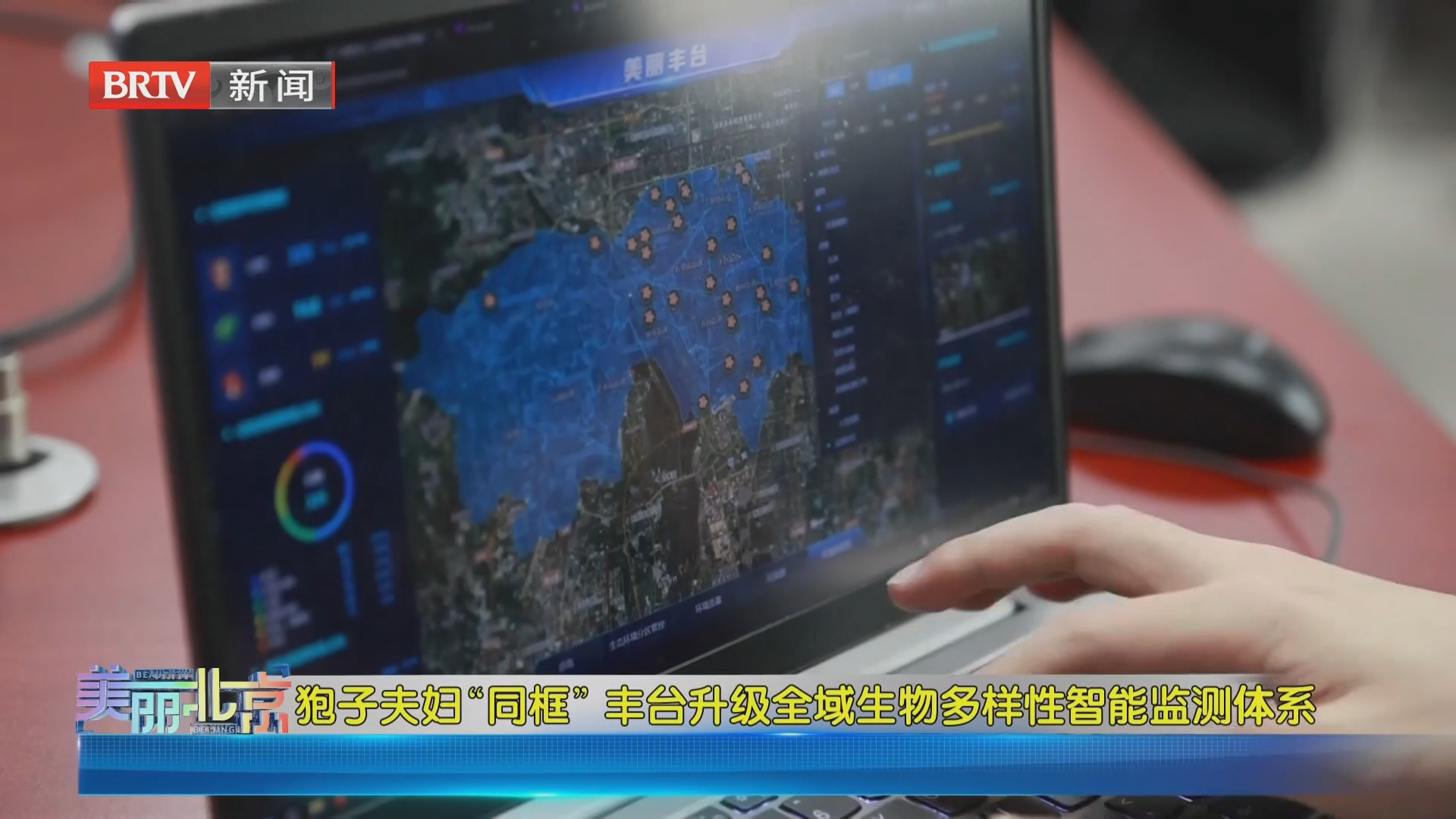 《美丽北京》20261008狍子夫妇“同框” 丰台升级全域生物多样性智能监测体系 《美丽北京》20261008狍子夫妇“同框” 丰台升级全域生物多样性智能监测体系
