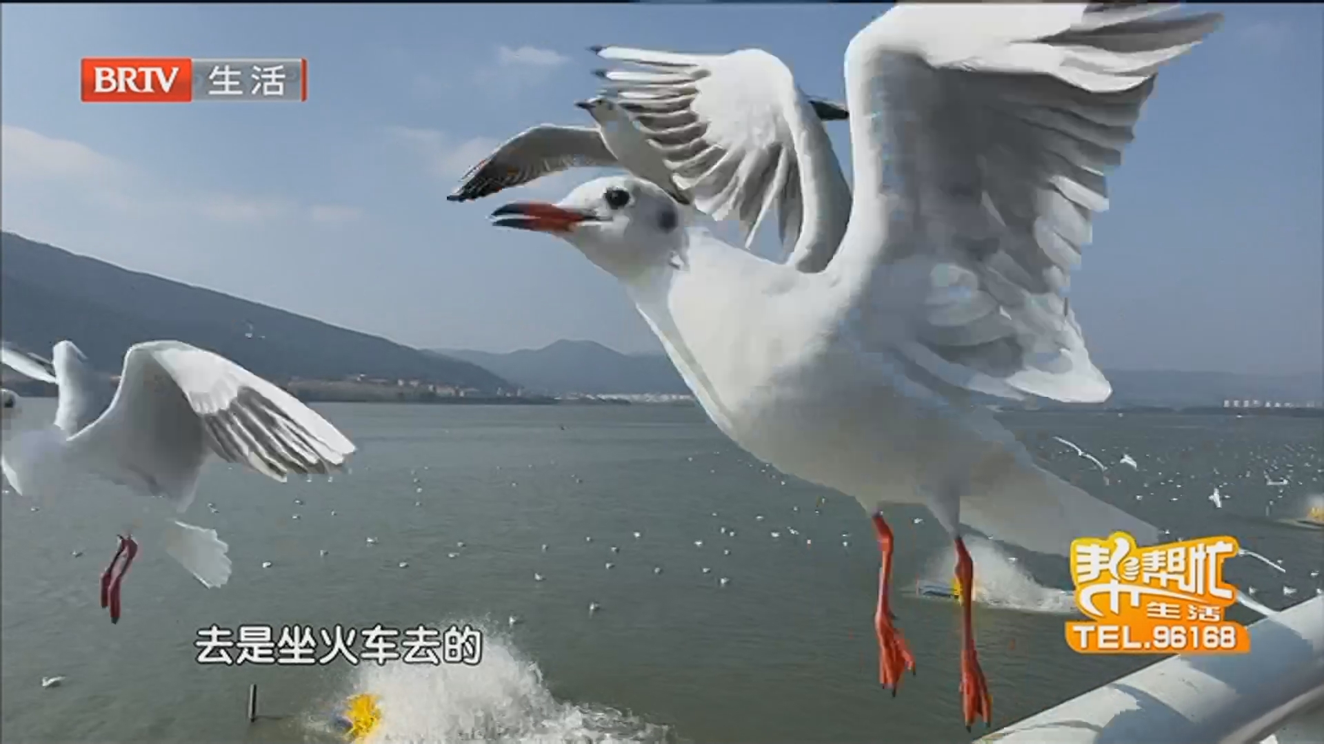 消费者：旅行社代买机票 到机场无法登机 “跟团游”返程机票取消了 损失谁来赔？