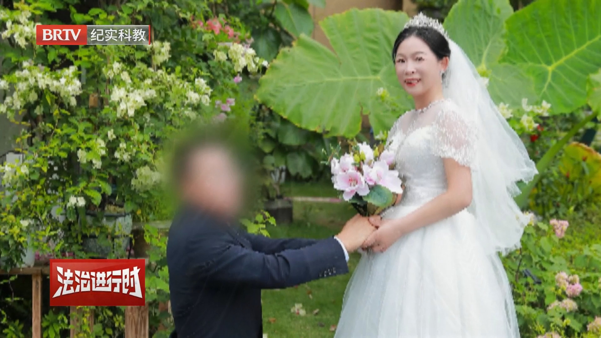 677万转账风波与一场关于“家”的漫长审判 3/6
