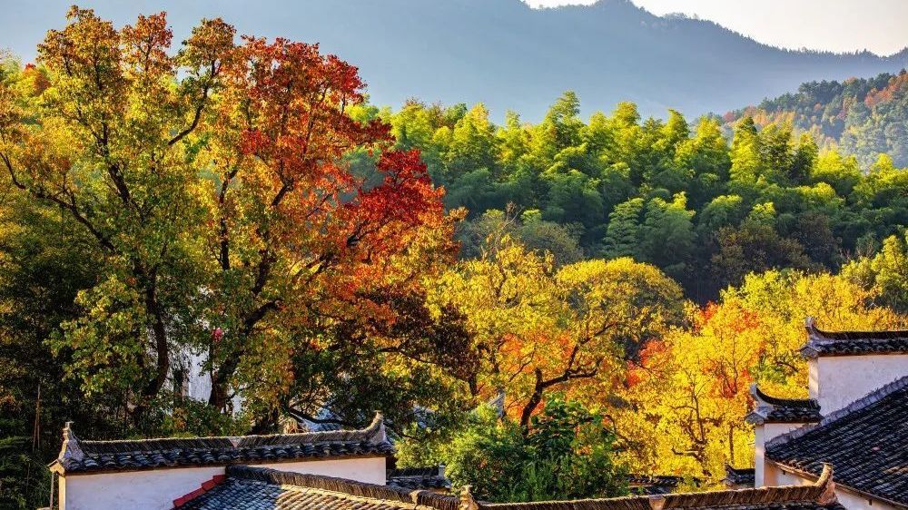 阴雨褪去，晴朗渐显！