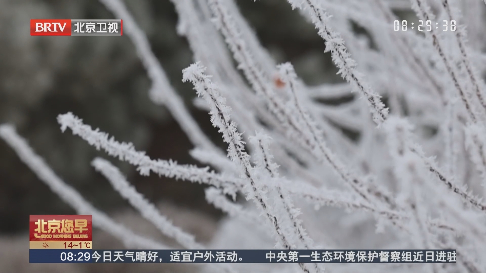 黑龙江抚远 雾凇漫染东极 素韵倾城如画