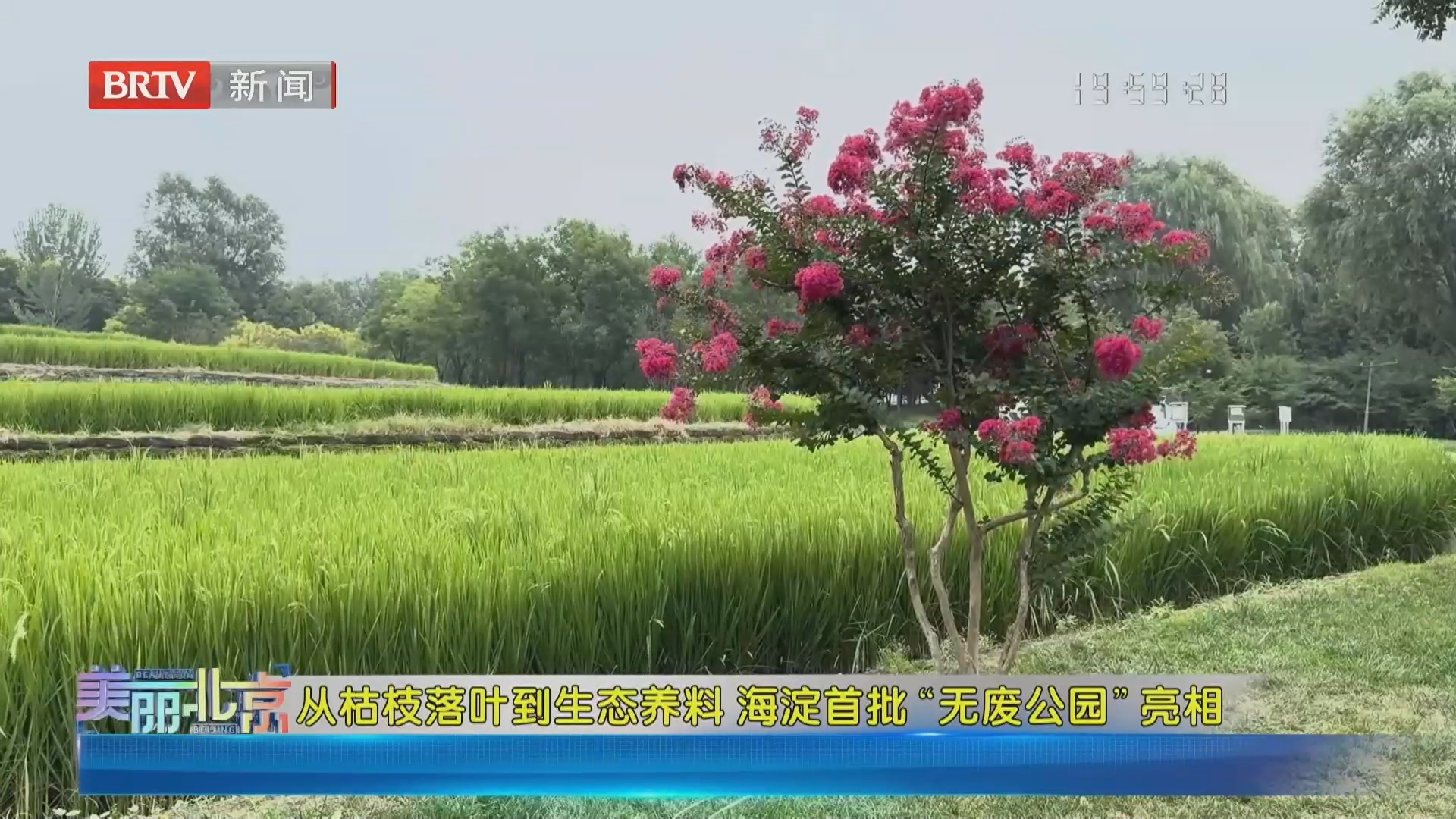 《美丽北京》20260913从枯枝落叶到生态养料 海淀首批“无废公园”亮相