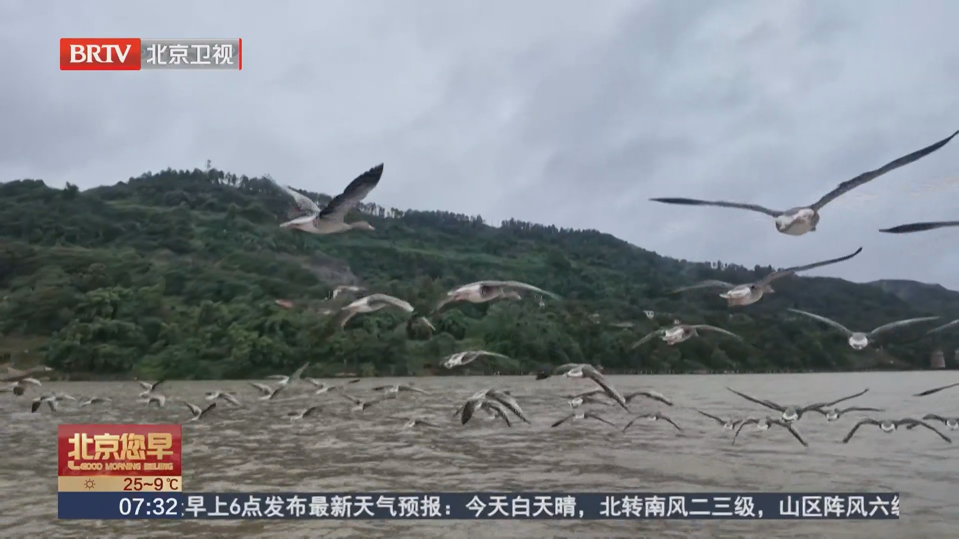 重庆：快艇破浪大雁伴飞 国庆解锁新玩法
