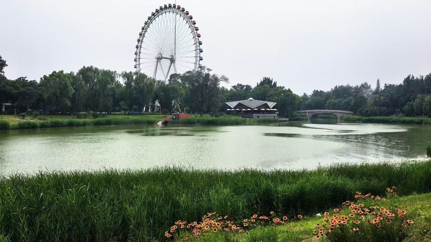 今天白天阵风明显 最高气温31℃ 今天白天阵风明显 最高气温31℃