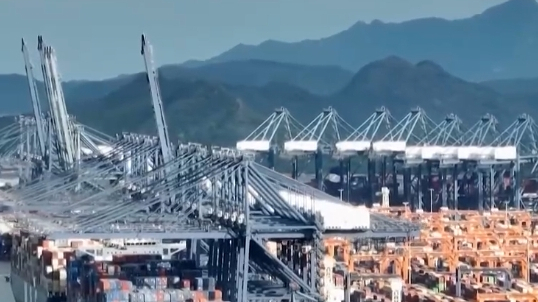 透过案例看中国建设高水平社会主义市场经济体制探索 透过案例看中国建设高水平社会主义市场经济体制探索