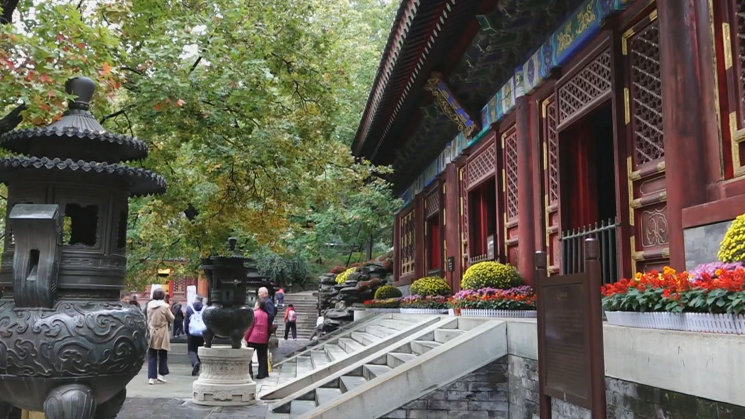 第37届北京香山红叶节开幕 三条主题赏红路线满足多元需求 第37届北京香山红叶节开幕 三条主题赏红路线满足多元需求