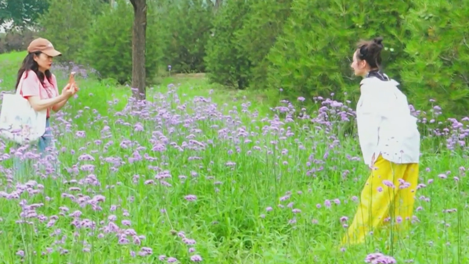 端午假期鲜花盛放 京城公园绘就夏日美景