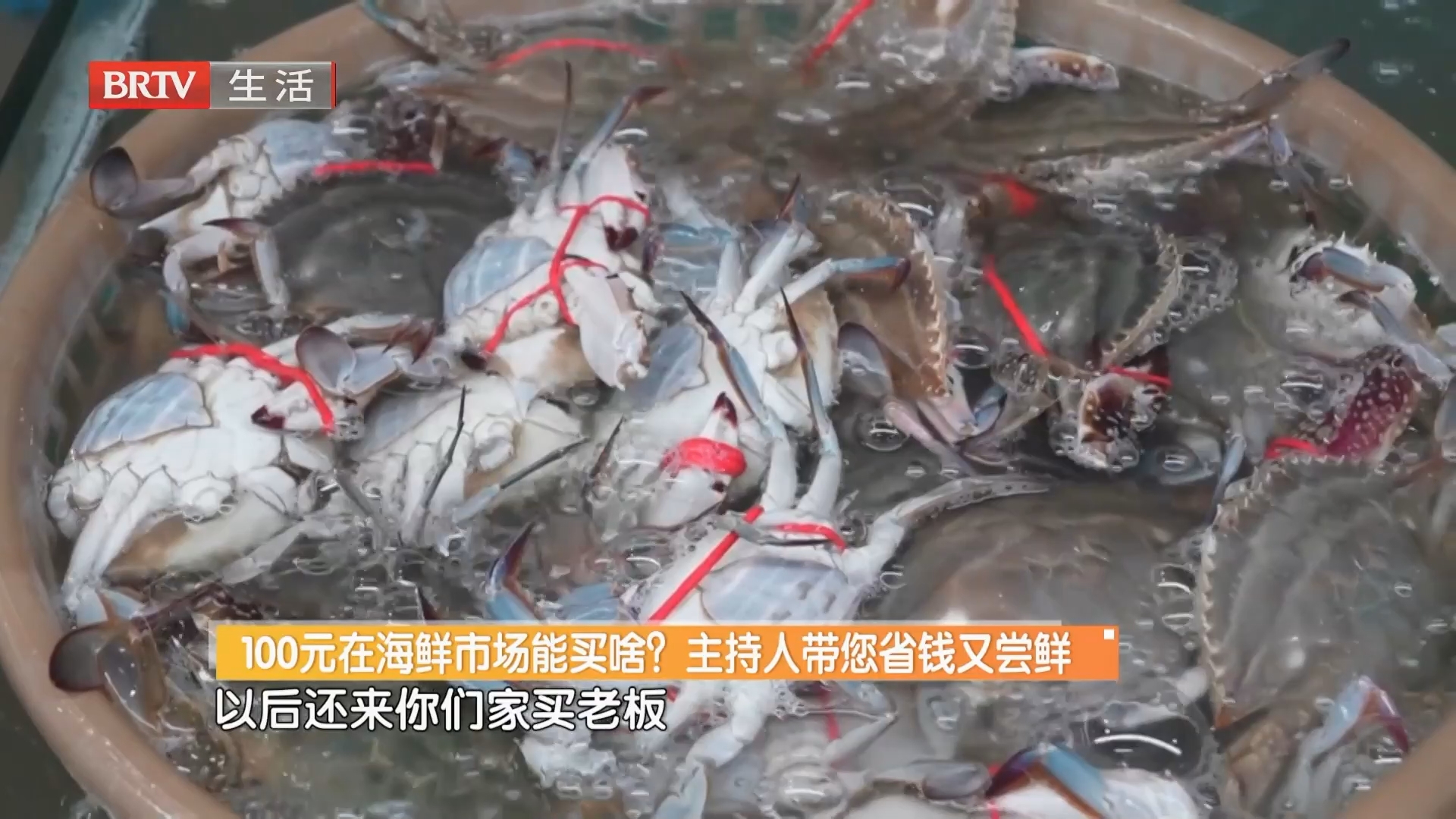 100元在海鲜市场能买啥？主持人带您省钱又尝鲜